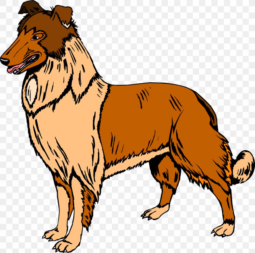 Bernese Mountain Dog Rough Collie Old English Sheepdog Clip Art, PNG, 958x952px, Bernese Mountain Dog, Animation, Carnivoran, Collie, Dog Download Free