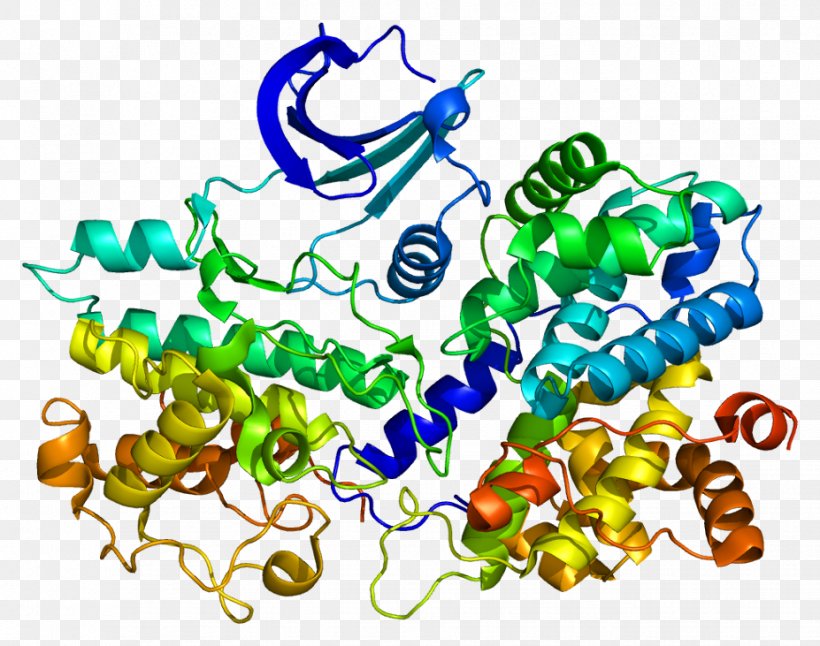 Cyclin-dependent Kinase Protein Cyclin E1 Cell Cycle, PNG, 927x731px, Cyclin, Area, Art, Artwork, Body Jewelry Download Free