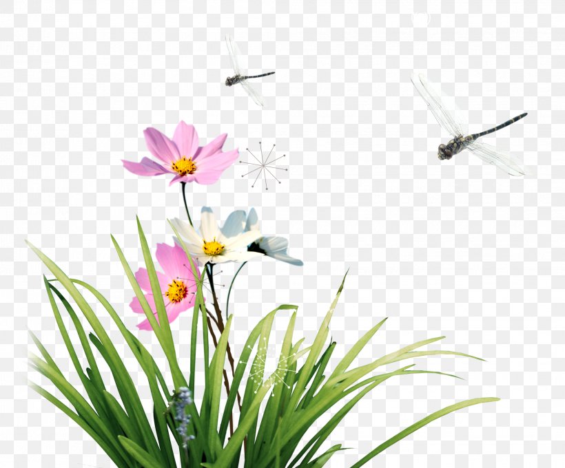 Floral Design Flower Icon, PNG, 2088x1732px, Floral Design, Cut Flowers, Designer, Dragonfly, Flora Download Free