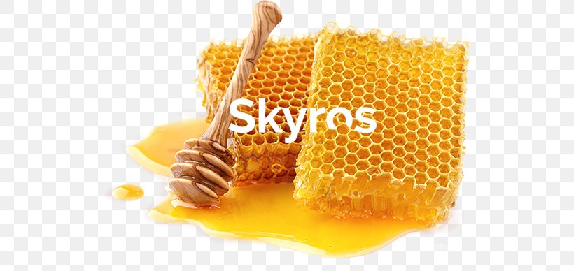 Shutterstock Stock Photography Honeycomb Royal Jelly, PNG, 669x388px, Stock Photography, Commodity, Honey, Honeycomb, Material Download Free