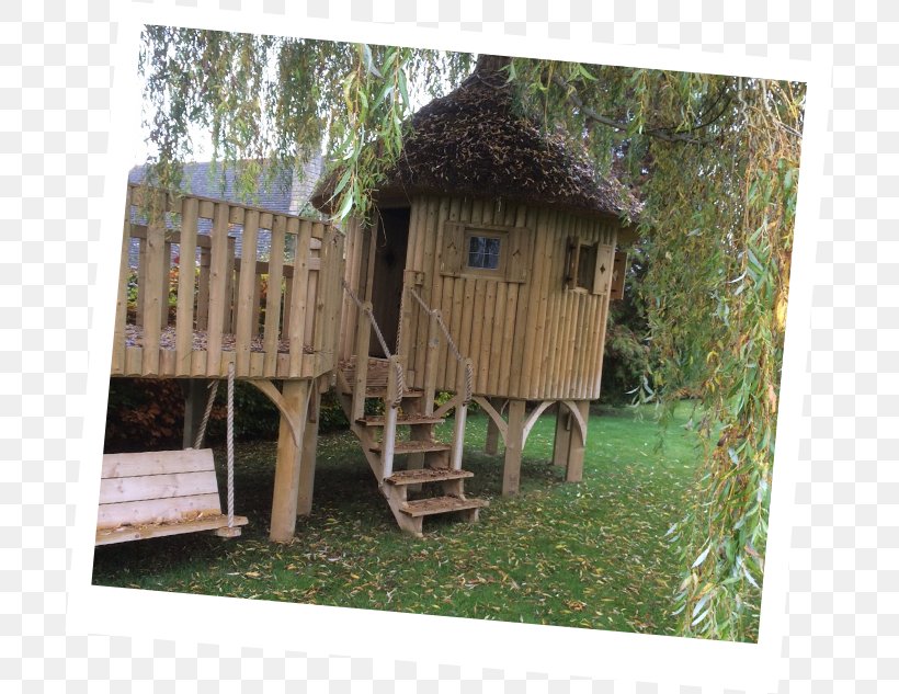 Tree House Building Shed, PNG, 701x633px, Tree House, Building, Cheeky Monkey Treehouses Ltd, Child, House Download Free