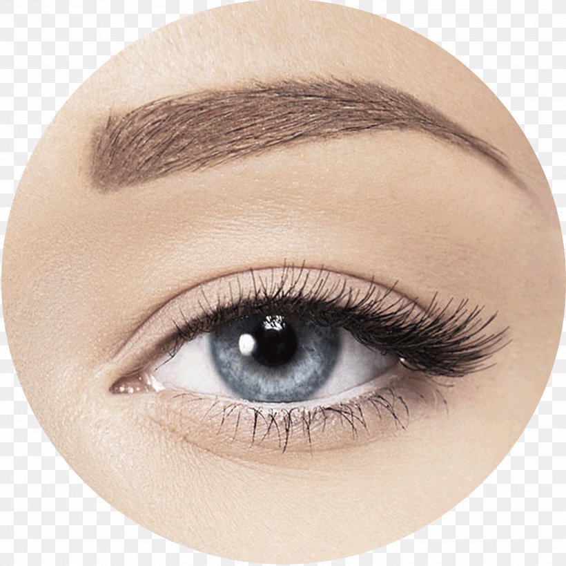Eyebrow Eye Liner Photography, PNG, 3508x3505px, Eyebrow, Cheek, Close Up, Cosmetics, Eye Download Free