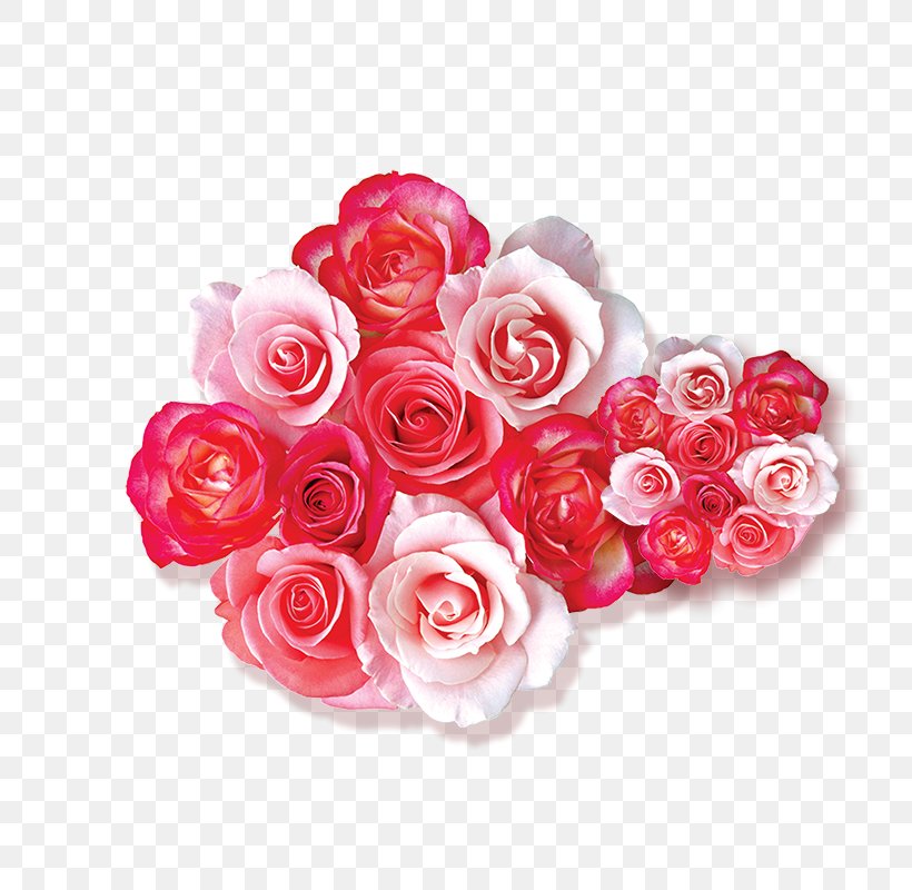 Garden Roses Beach Rose Flower, PNG, 800x800px, Garden Roses, Artificial Flower, Beach Rose, Cut Flowers, Floral Design Download Free