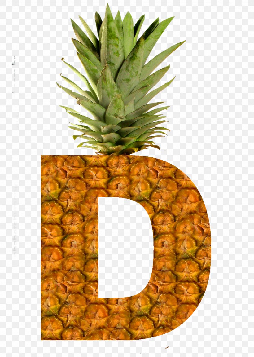 Pineapple Succade Fruit Portable Network Graphics Buddha's Hand, PNG, 897x1261px, Pineapple, Ananas, Bromeliaceae, Citron, Citrus Download Free