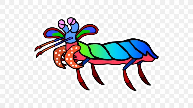 Clip Art Odontodactylus Scyllarus Caridean Shrimp Mantis Shrimp Insect, PNG, 1500x844px, Odontodactylus Scyllarus, Art, Artwork, Body Jewelry, Caridean Shrimp Download Free