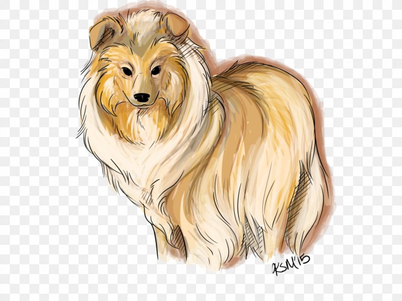 Rough Collie Dog Breed Companion Dog Drawing, PNG, 1024x768px, Rough Collie, Breed, Carnivoran, Collie, Companion Dog Download Free