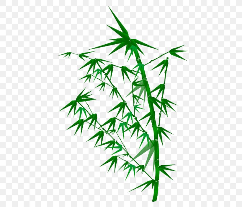 Zongzi Bamboo, PNG, 700x700px, Zongzi, Animation, Bamboo, Bambusa Oldhamii, Blog Download Free