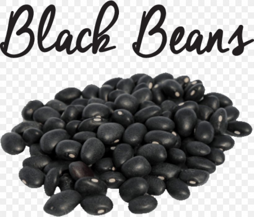 Black Turtle Bean Black Gram Protein Meaning, PNG, 850x726px, Bean, Black Gram, Black Turtle Bean, Blueberry, Bread Download Free