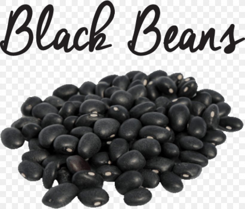 black-turtle-bean-black-gram-protein-meaning-png-850x726px-bean