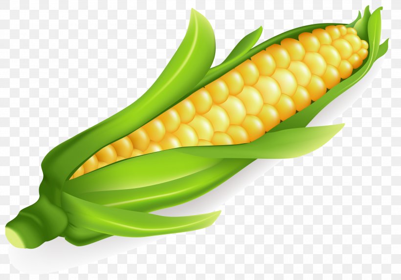 Corn On The Cob Maize Stock Photography Clip Art, PNG, 3000x2098px, Corn On The Cob, Bollo, Commodity, Cooking, Corncob Download Free