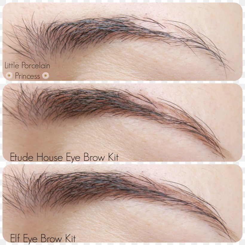 Eyebrow Cosmetics Eye Shadow Eyelash, PNG, 1600x1600px, Eyebrow, Close Up, Cosmetics, Eye, Eye Liner Download Free
