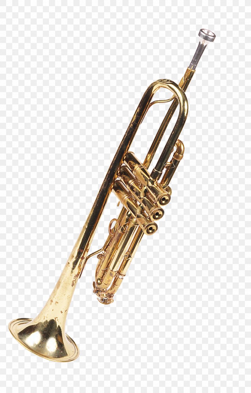 Trumpet Musical Instrument Brass Instrument Trombone Tuba, PNG, 1772x2767px, Watercolor, Cartoon, Flower, Frame, Heart Download Free