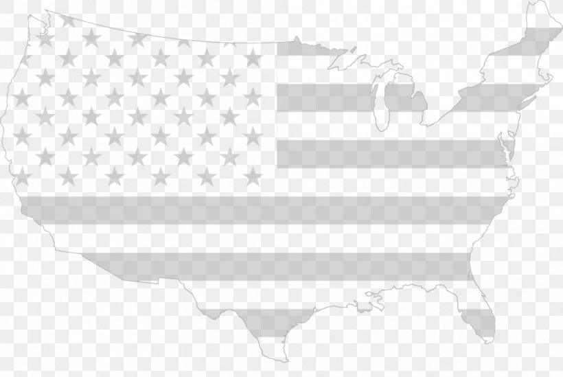 United States Gemneye The Lost Zoo Flag Swing State, PNG, 1007x675px, United States, African American, Africanamerican History, Area, Flag Download Free