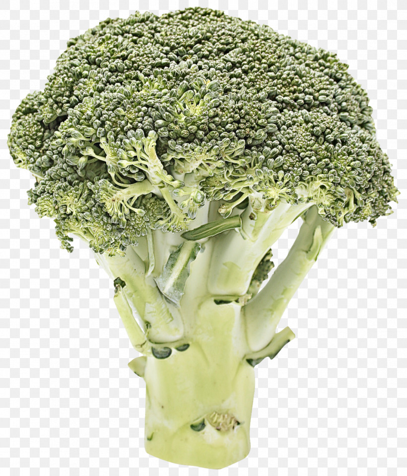 Cauliflower, PNG, 1096x1280px, Broccoli, Broccoflower, Cabbage, Cauliflower, Cut Flowers Download Free