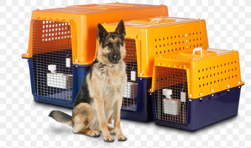 pet transport crate