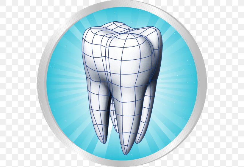 Human Tooth Dentistry Scientific Modelling Periodontium, PNG, 571x563px, Watercolor, Cartoon, Flower, Frame, Heart Download Free