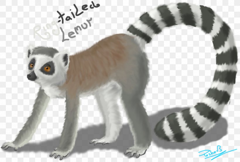 Lemurs Cat Monkey Terrestrial Animal Tail, PNG, 911x617px, Lemurs, Animal, Animal Figure, Cat, Cat Like Mammal Download Free