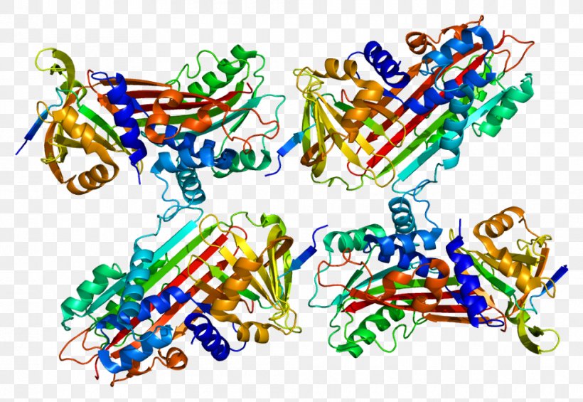 S100A9 S100 Protein Protein C Inhibitor Calgranulin, PNG, 990x683px, S100 Protein, Antigen, Art, Body Jewelry, Calciumbinding Protein Download Free