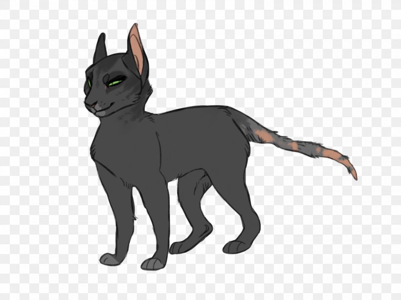 Black Cat Whiskers Dog Breed, PNG, 1599x1199px, Black Cat, Black, Black M, Breed, Carnivoran Download Free