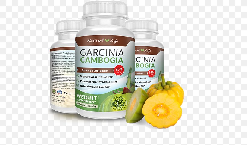 Dietary Supplement Garcinia Cambogia Weight Loss Anti-obesity Medication, PNG, 553x484px, Dietary Supplement, Advertising, Antiobesity Medication, Diet, Dieting Download Free