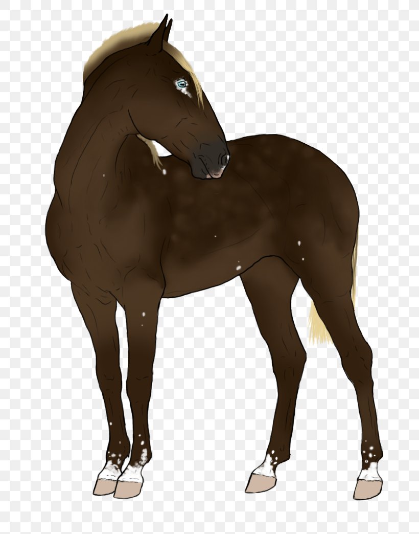 Foal Halter Stallion Mare Colt, PNG, 783x1044px, Foal, Bridle, Colt, Dog Harness, Halter Download Free