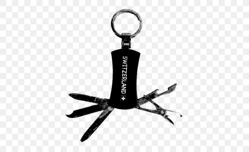 Key Chains Keyring Tool Coin Purse Metal, PNG, 500x500px, Key Chains, Coin, Coin Purse, Fashion Accessory, Handbag Download Free