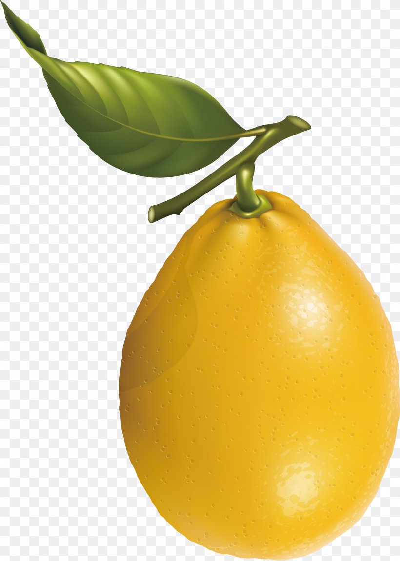 Lemon Mandarin Orange Fruit Clip Art, PNG, 2495x3505px, Lemon, Bitter Orange, Citric Acid, Citron, Citrus Download Free