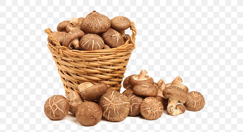Lingzhi Mushroom Shiitake Dietary Supplement Health, PNG, 579x447px, Lingzhi Mushroom, Betacarotene, Betaglucan, Commodity, Dietary Supplement Download Free