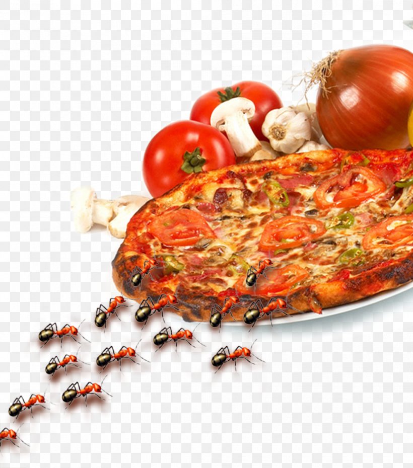 Pizza European Cuisine Italian Cuisine Food, PNG, 992x1126px, Pizza, Advertising, Animal Source Foods, Bread, Coreldraw Download Free