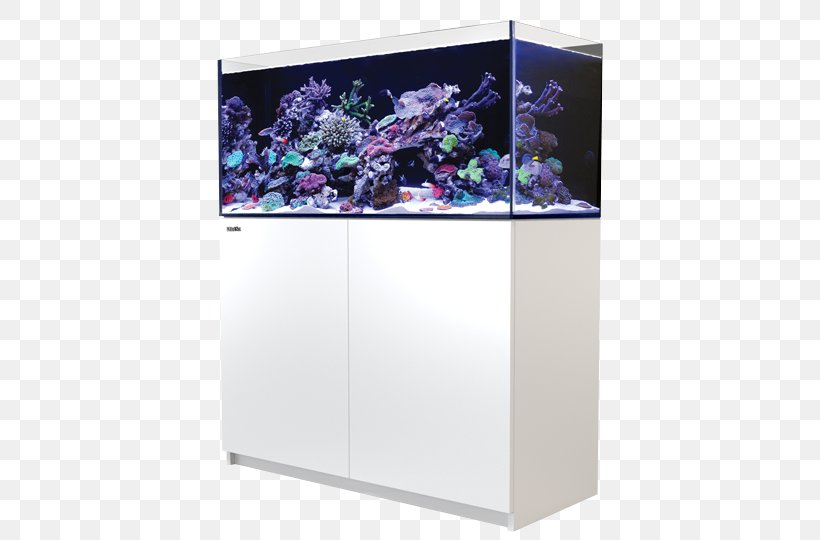 Red Sea Aquariums Reef Aquarium, PNG, 800x540px, Red Sea, Aquarium, Aquarium Filters, Aquariums, Display Device Download Free