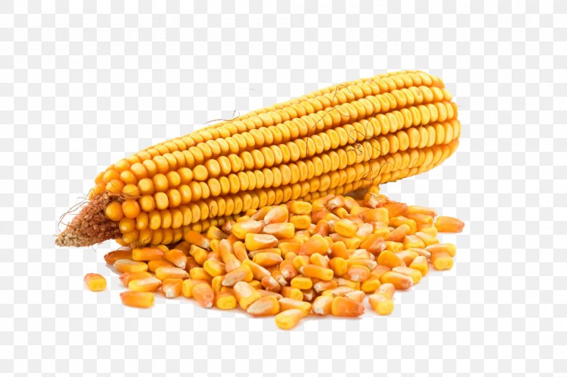 Ukraine Syngenta Maize Seed Cultivar, PNG, 1000x667px, Ukraine, Artikel, Cereal, Commodity, Corn Kernels Download Free