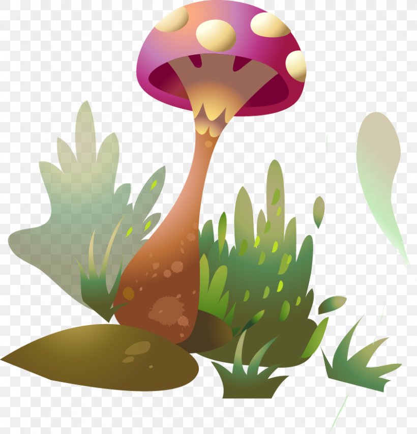 Fungus Mushroom Drawing Clip Art, PNG, 843x877px, Fungus, Agaricus, Amanita, Animation, Art Download Free