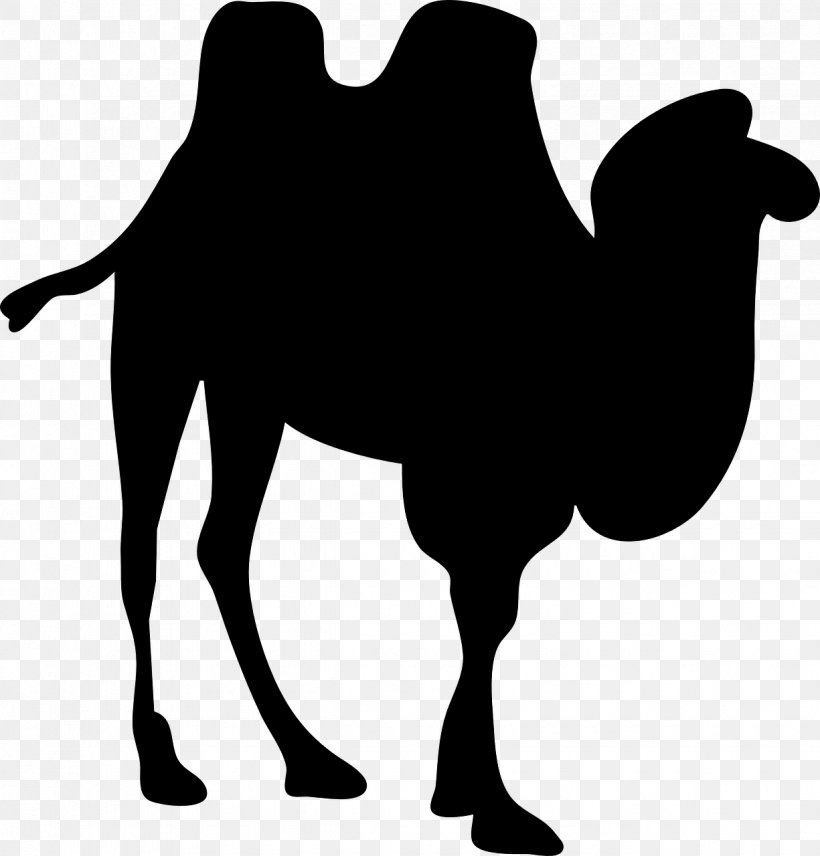 Bactrian Camel Dromedary Silhouette Clip Art, PNG, 1225x1280px, Bactrian Camel, Arabian Camel, Black And White, Camel, Camel Like Mammal Download Free