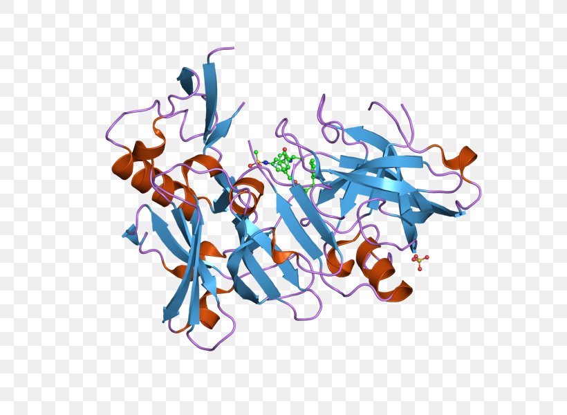 Beta-secretase 1 Amyloid Precursor Protein Secretase Amyloid Beta Enzyme, PNG, 800x600px, Watercolor, Cartoon, Flower, Frame, Heart Download Free