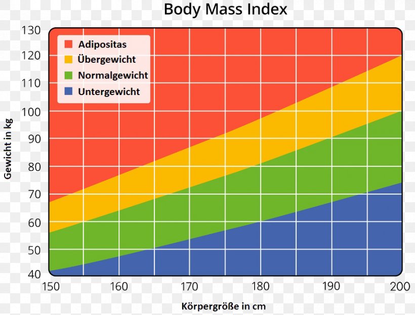 Body Mass Index Human Body Weight Weight Loss Stock Photography, PNG, 911x693px, Body Mass Index, Adipose Tissue, Area, Diagram, Elevation Download Free