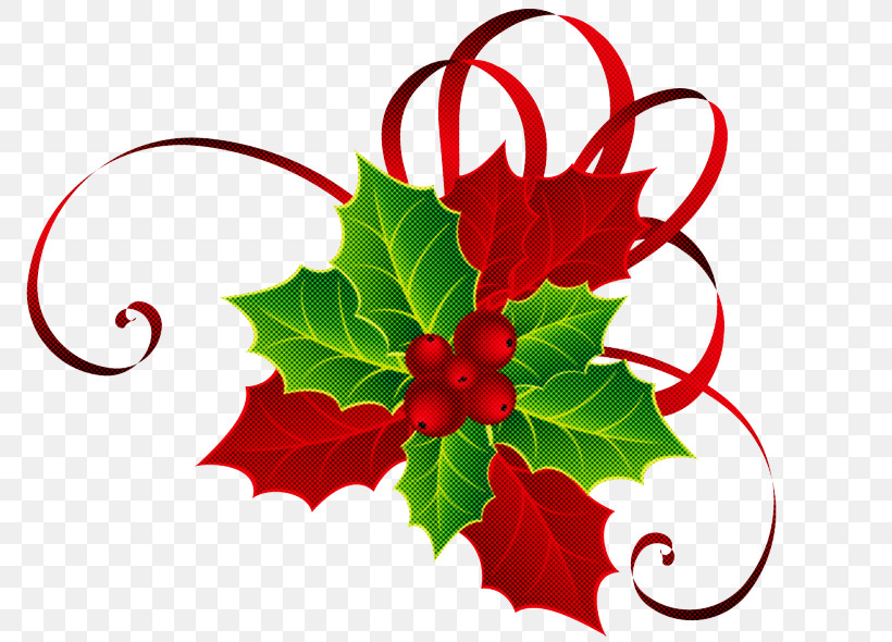 Holly, PNG, 800x590px, Leaf, Flower, Grape Leaves, Holly, Plant Download Free
