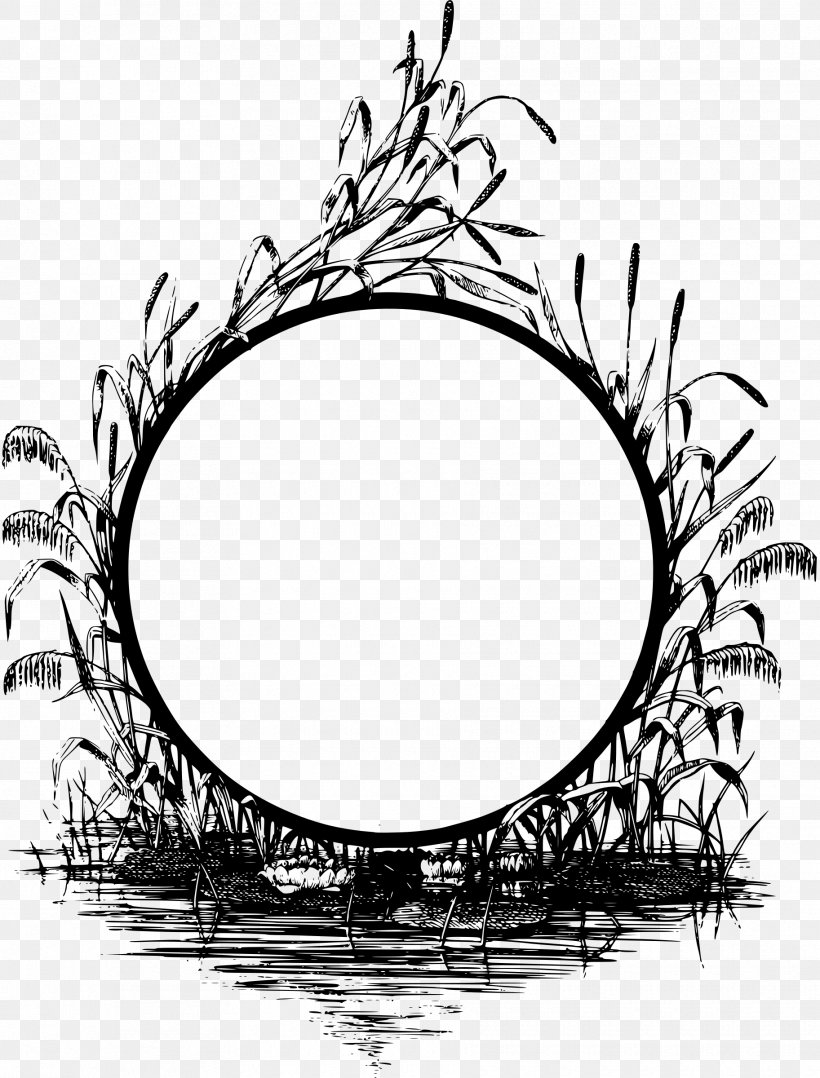 Picture Frames Clip Art, PNG, 1825x2400px, Picture Frames, Black And White, Branch, Drawing, Framebridge Download Free