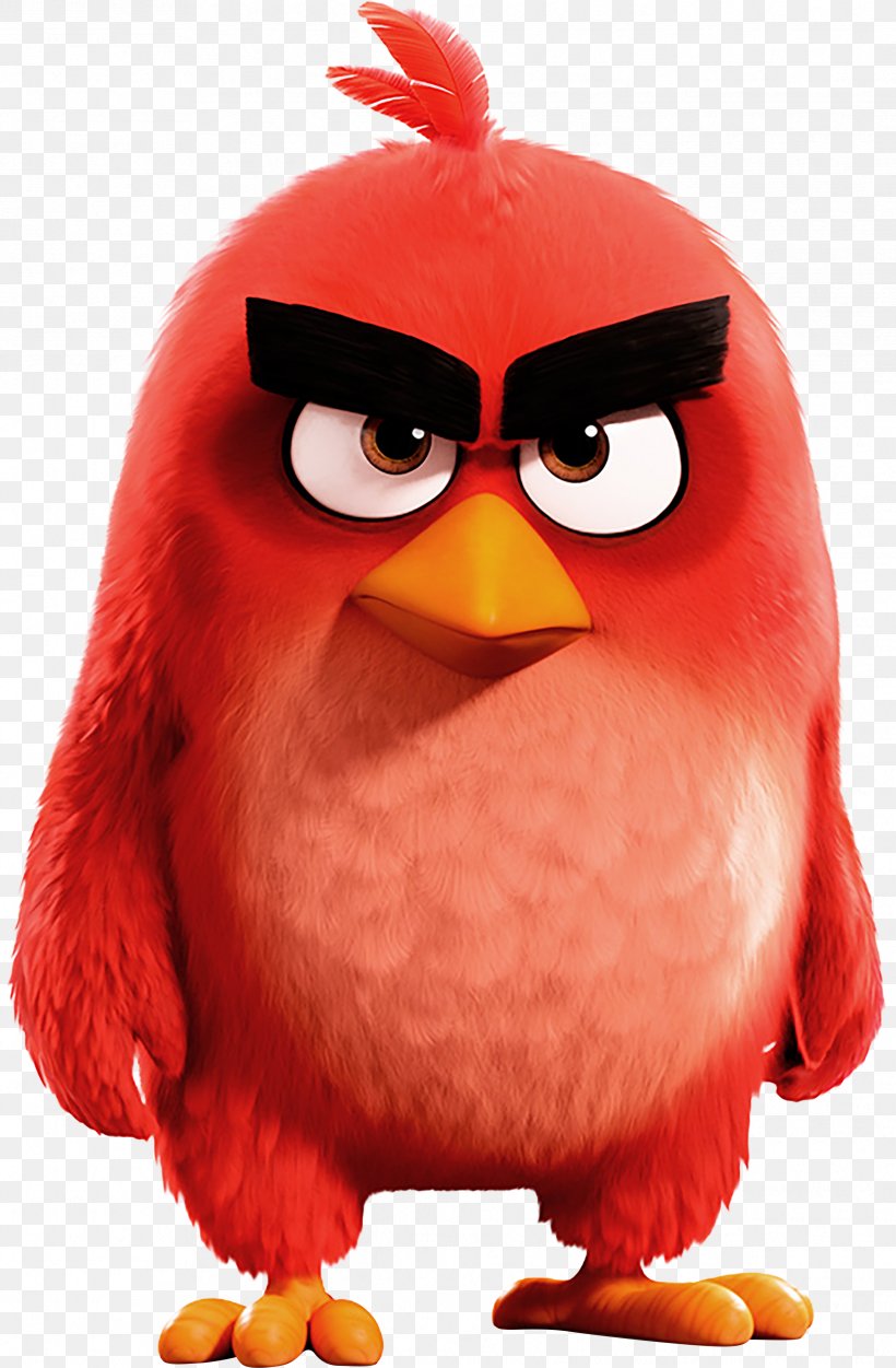 Angry Birds Epic Angry Birds 2 Angry Birds Go! Angry Birds Evolution, PNG, 2434x3714px, Angry Birds Epic, Angry Birds, Angry Birds 2, Angry Birds Blues, Angry Birds Evolution Download Free