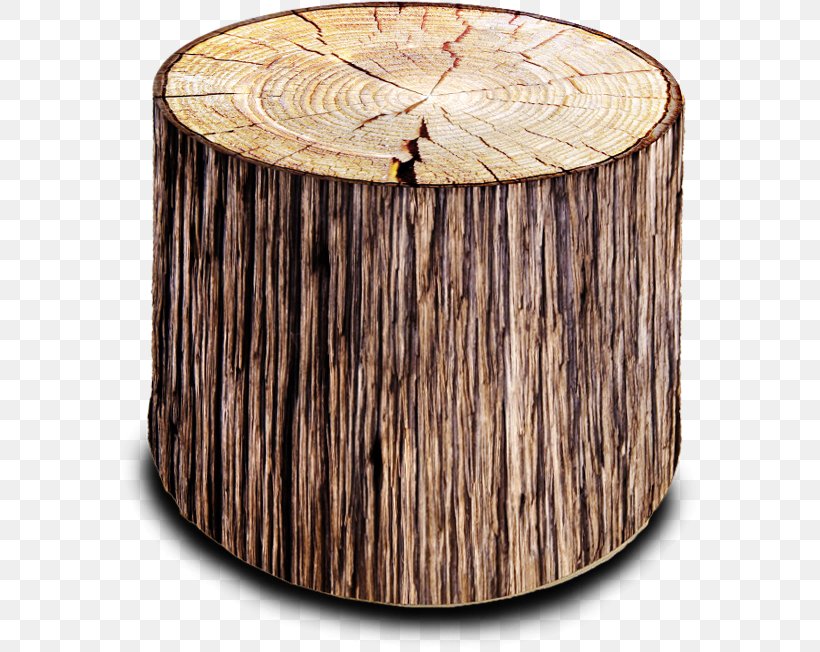 Bean Bag Chairs Trunk Tree Image, PNG, 581x652px, Bean Bag Chairs, Bean Bag, Chair, Cushion, Foot Rests Download Free