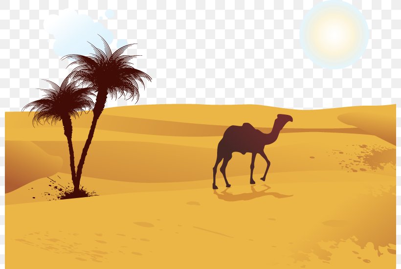 Camel Desert Computer File, PNG, 800x550px, Camel, Aeolian Landform, Arabian Camel, Badia, Camel Like Mammal Download Free