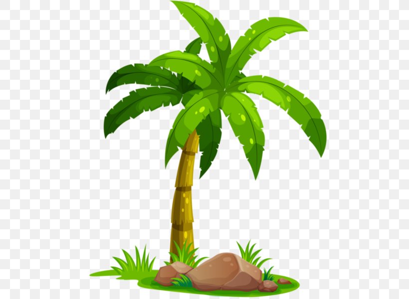 Coconut Arecaceae Tree, PNG, 514x600px, Coconut, Aquarium Decor, Arecaceae, Arecales, Color Download Free