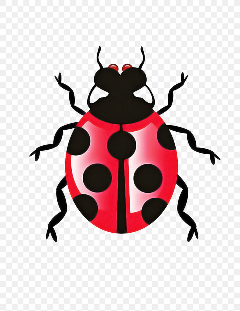 Ladybird, PNG, 752x1063px, Insect, Beetle, Computer Software, Darkling Beetles, Ladybird Beetle Download Free