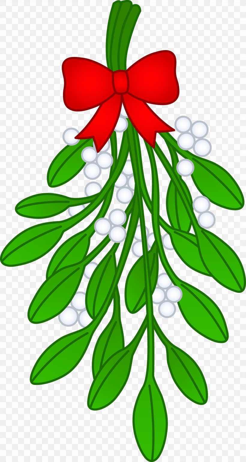 Mistletoe Drawing Phoradendron Tomentosum Clip Art, PNG, 4361x8192px, Mistletoe, Art, Artwork, Branch, Christmas Download Free