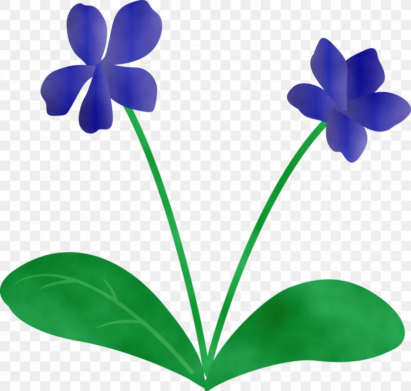Plant Stem Flower Leaf Petal Flora, PNG, 3000x2853px, Violet Flower, Biology, Flora, Flower, Leaf Download Free
