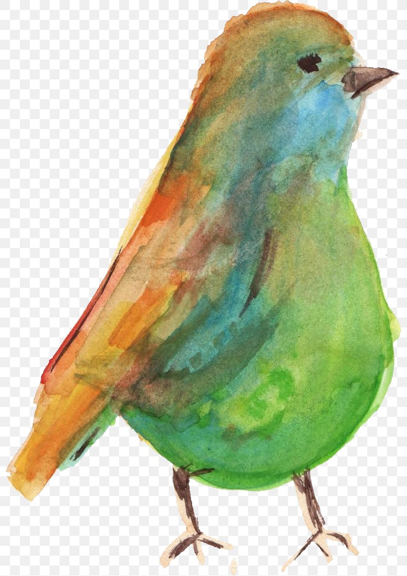Bird Watercolor Painting, PNG, 796x1161px, Bird, Art, Beak, Crayon, Fauna Download Free