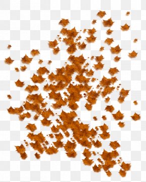 Falling - Leaf Autumn Clip Art PNG