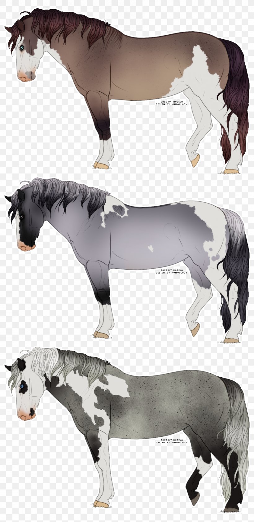 Mane Mustang Stallion Pony Donkey, PNG, 900x1850px, Mane, Donkey, Fauna, Horse, Horse Like Mammal Download Free