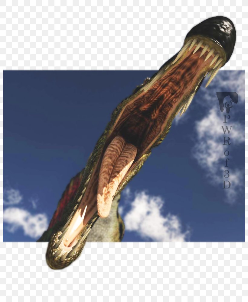 Reptile Tyrannosaurus Spinosaurus Giganotosaurus Dinosaur, PNG, 800x1000px, Reptile, Allosaurus, Animal, Art, Death Battle Fanon Download Free