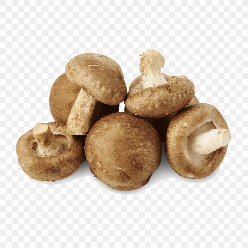 Shiitake Common Mushroom Liqueur Edible Mushroom, PNG, 1316x1316px, Shiitake, Champignon Mushroom, Common Mushroom, Cooking, Dietary Fiber Download Free