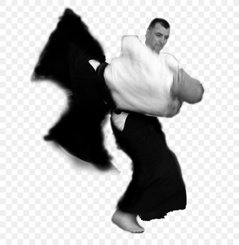 Aikikai Sensei Aikido Rose Finger, PNG, 671x840px, Aikikai, Aikido, Arm, Black And White, Boxing Download Free